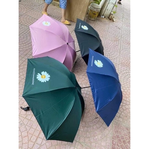 Ô Dù Gấp Gọn Hoa Cúc Thiết Kế Nhỏ Gọn-Tiện Dụng, Dễ Dàng Mang Theo