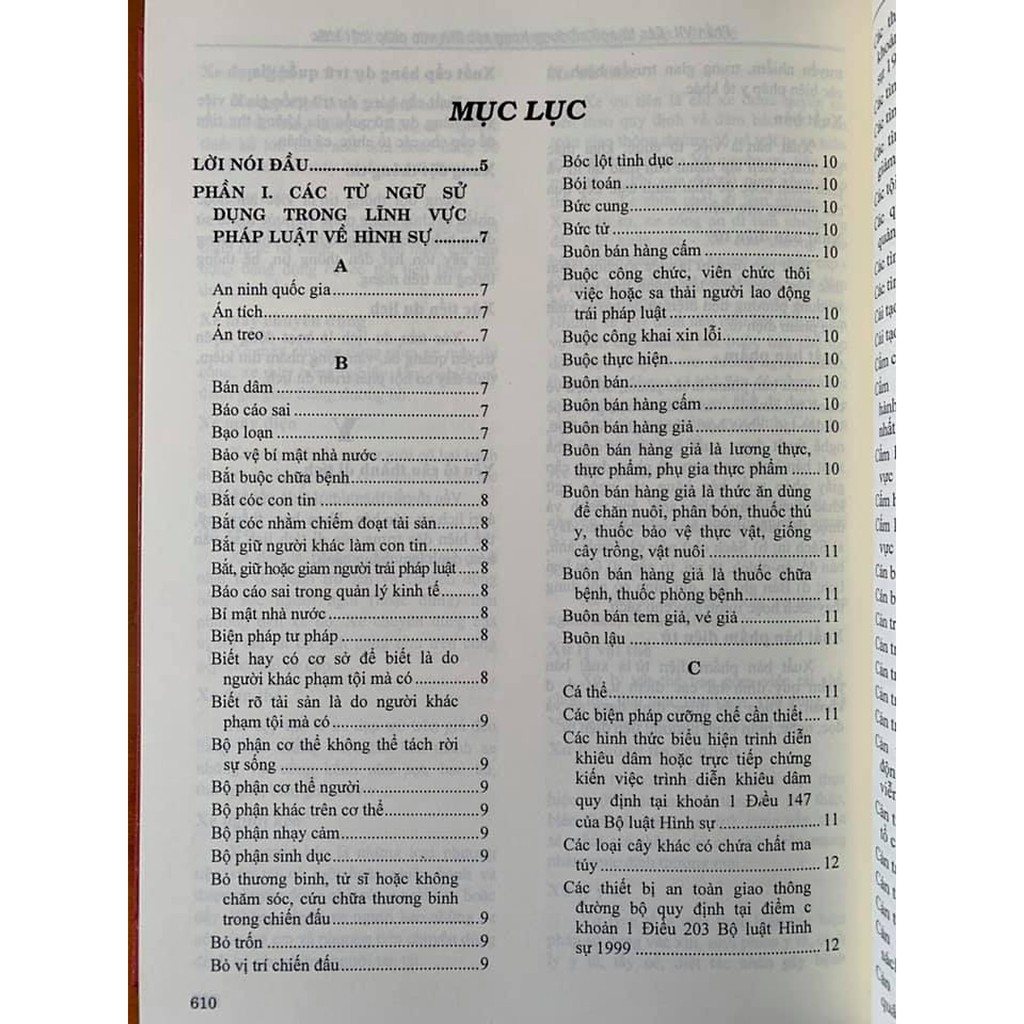 Sách - Từ Điển Pháp Luật Việt Nam - 5665 Từ ( Nguyễn Ngọc Điệp ) | BigBuy360 - bigbuy360.vn