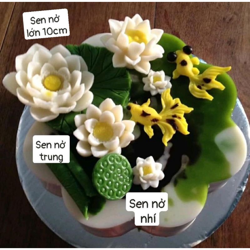 Khuôn silicon làm hoa sen nở lớn 10cm
