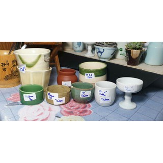 Combo chậu trồng sen đá
