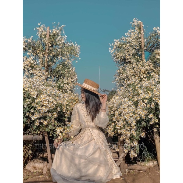 Set váy siêu xinh giá rẻ nhất ở đây☺️☺️🌸🌸