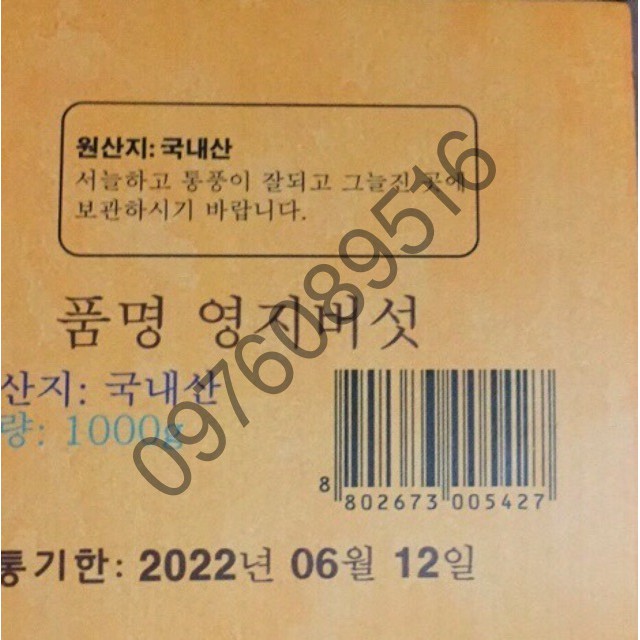 ( SALE SỐC) NẤM LINH CHI ĐỎ HÀN QUỐC 1KG HÌNH CÔ GÁI