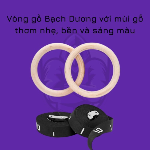 [GIÁ SIÊU RẺ] Rings - Vòng treo xà gỗ Bạch Dương 32mm kèm dây đánh số bản 38mm chuẩn Quốc Tế giá rẻ