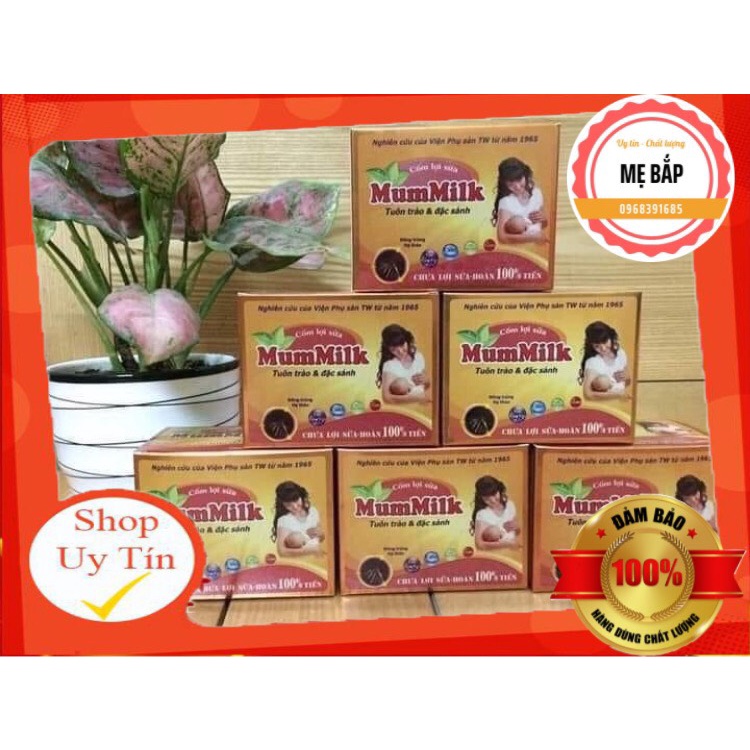 Lợi Sữa, Sữa Đặc Mát Có Đông Trùng Hạ Thảo