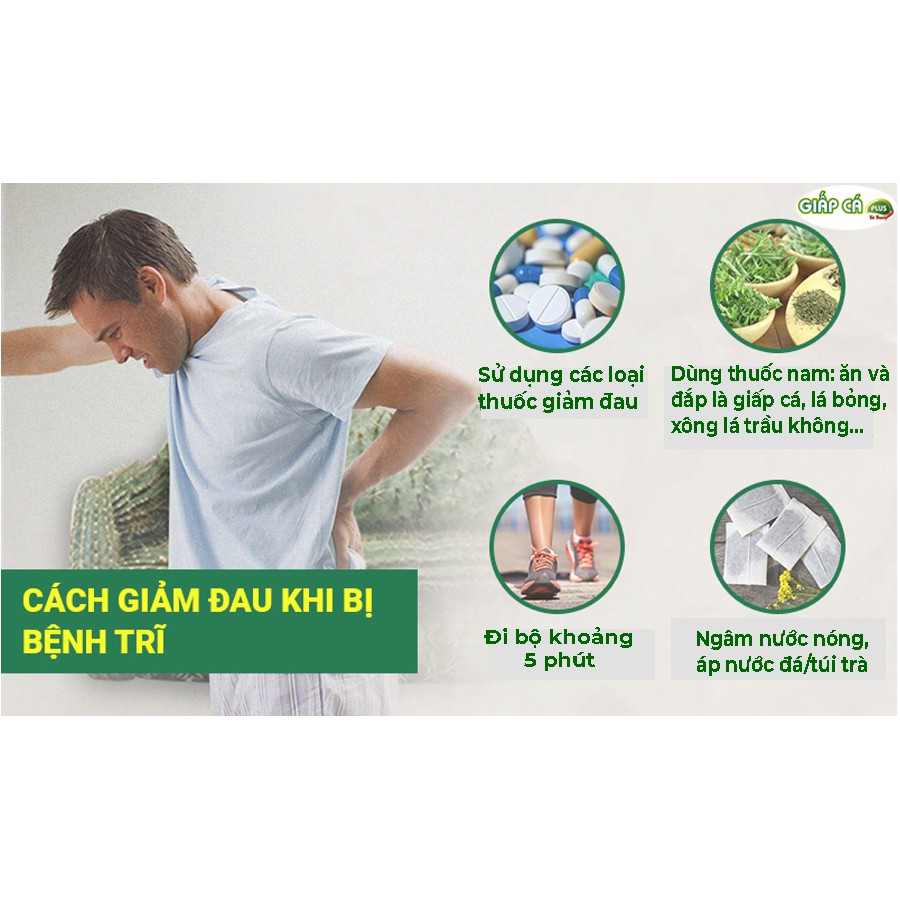 ✔️️️ Viên Giấp Cá Plus Tất Thành New – Giúp nhuận tràng, giảm trĩ nội trĩ ngoại, co búi trĩ, tăng sức bền thành mạch