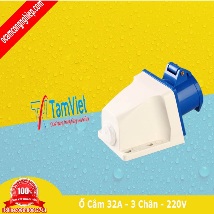 Ổ cắm công nghiệp gắn tủ 1 pha 32A 3 chấu (cố định)-Phích cắm Tâm Việt