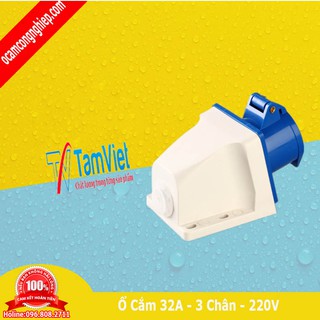 Ổ cắm công nghiệp gắn tủ 1 pha 32A 3 chấu (cố định)-Phích cắm Tâm Việt