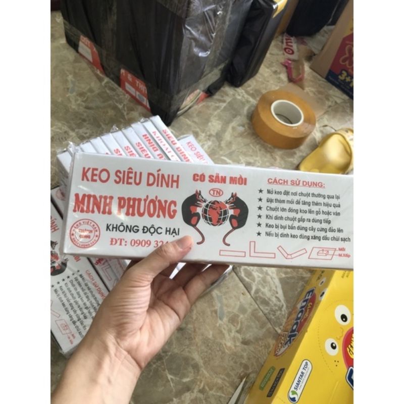 Keo dính chuột (bẫy siêu dính siêu ăn)