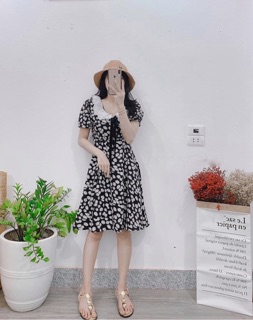 Váy Hoa cúc cổ bèo