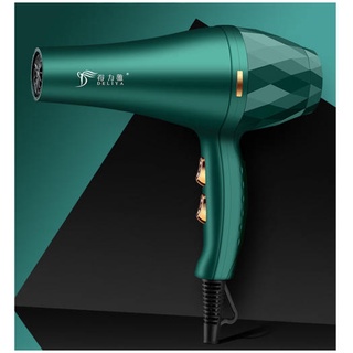 Máy sấy tóc mặt nhám, máy sấy tóc Deliya-2300 màu xanh rêu 2 chiều nóng lạnh + Tặng kèm 5 phụ kiện