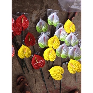 Lá hồng môn giả