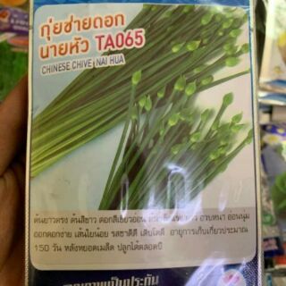 HẠT GIỐNG HẸ THÁI LAN