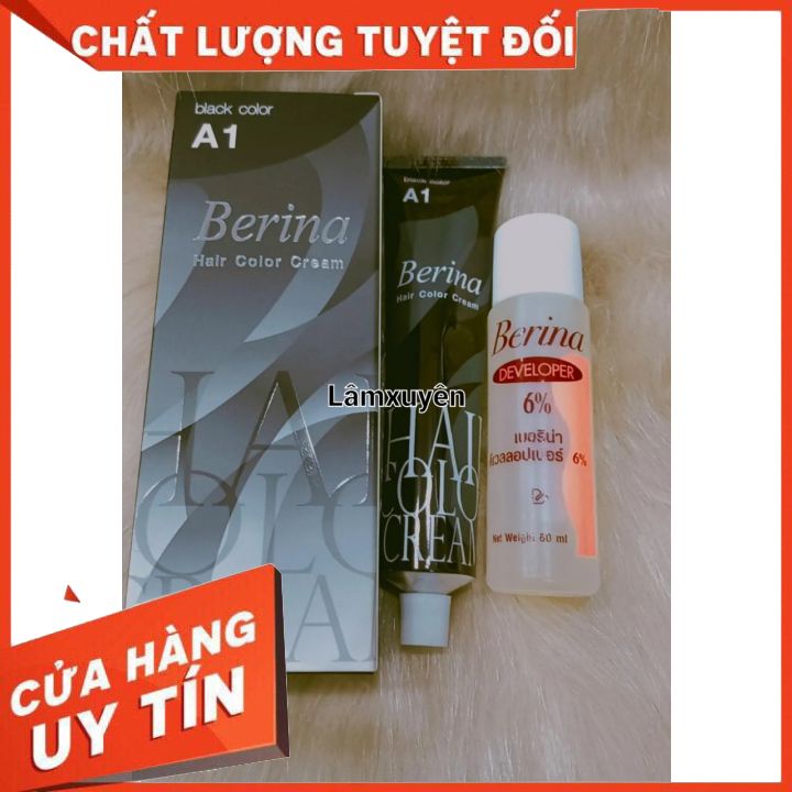 Thuốc nhuộm phủ bạc Berina Thái Lan