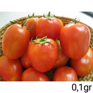 Hạt giống Cà Chua Chịu Nhiệt