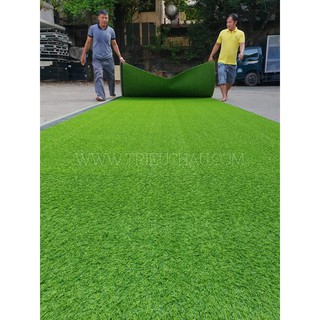 THẢM CỎ NHÂN TẠO M2