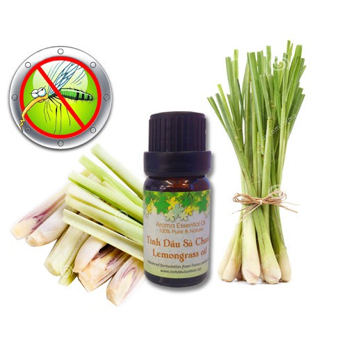 tinh dầu sả chanh 10ml