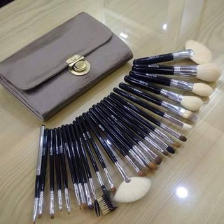 BỘ CỌ CLIO 26 CÂY LÔNG CHỒN ĐEN, BẠC