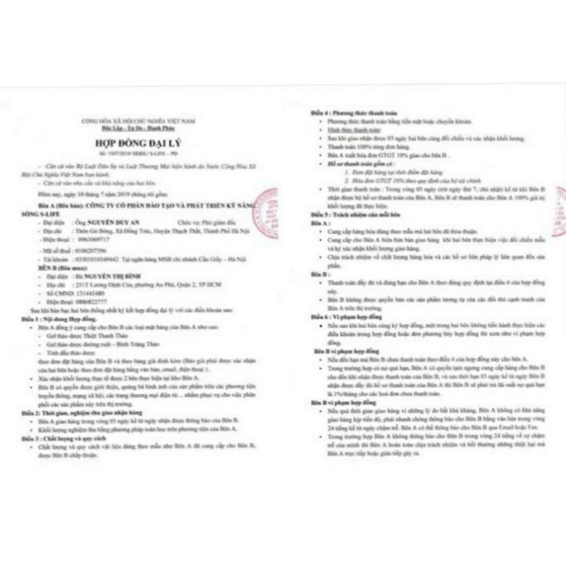 Vital Enzyme chính hãng cho ba mẹ Cửa Sổ Vàng gom chung- Hàng Công ty