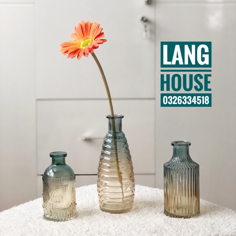 Lọ Hoa - LỌ HOA THUỶ TINH OMBRE CAO CẤP Cao 13-19cm Bình Hoa Thuỷ Tinh Đẹp Trang Trí Decor Phòng Khách