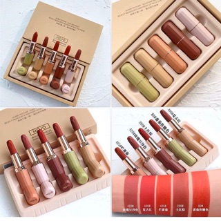 Set 5 son sáp lớn Hojo Molandi Velvet