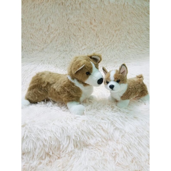 gấu bông con chó Corgi giống như thật chính hãng