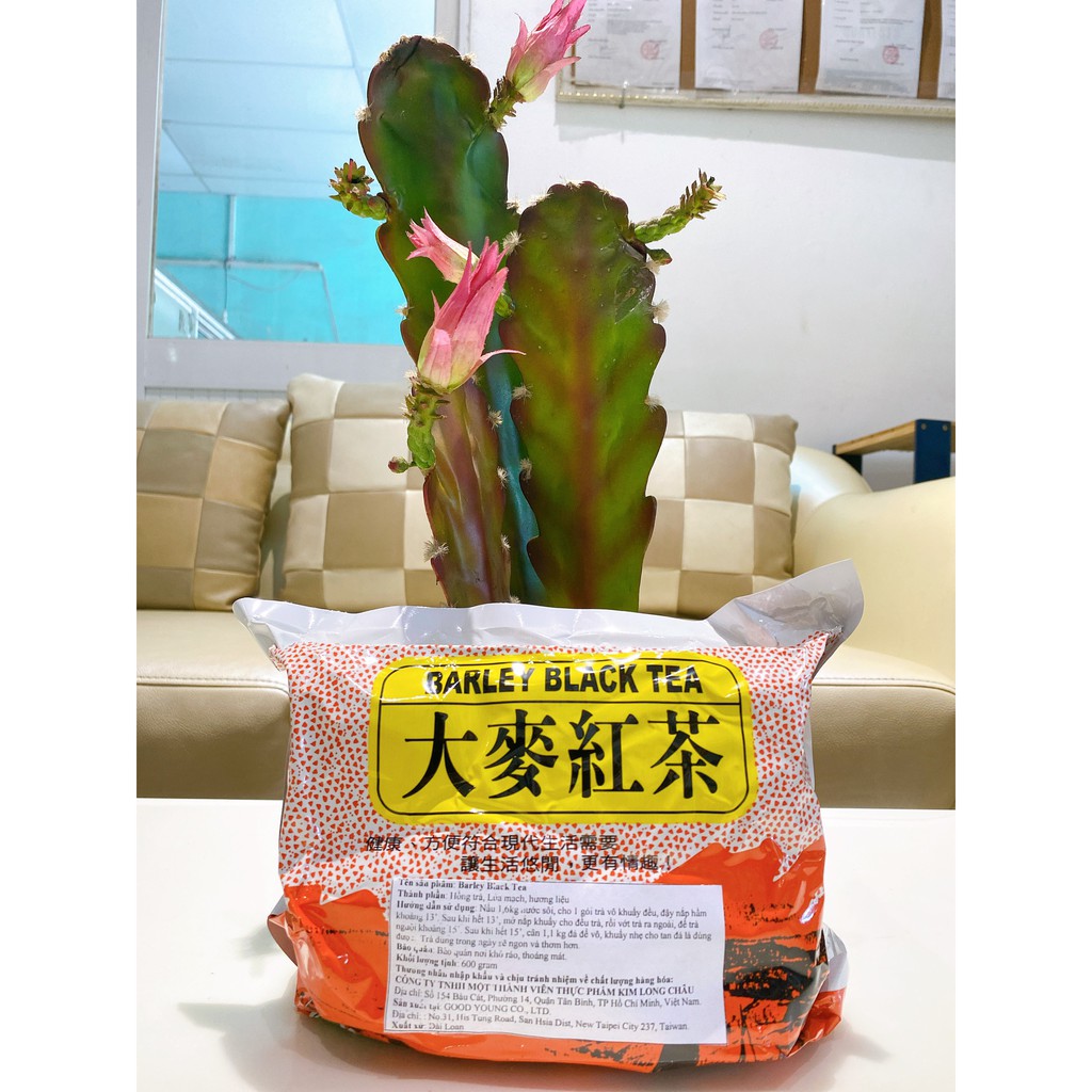 Trà BarLey Lúa Mạch thanh lọc cơ thể tốt cho sức khỏe hàng nhập khẩu Đài Loan 600gam