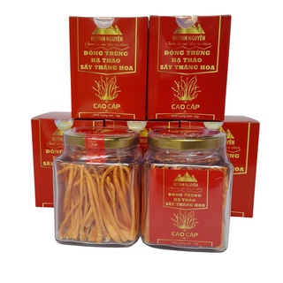 Đông Trùng Hạ Thảo Huỳnh Nguyên Sấy Thăng Hoa loại Cao Cấp mỗi hộp 10gram