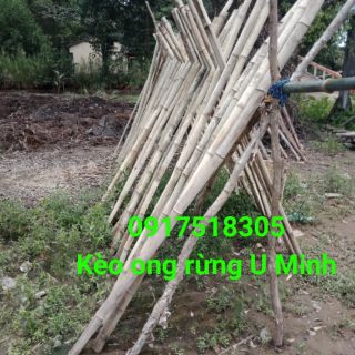 Mật ong rừng U Minh