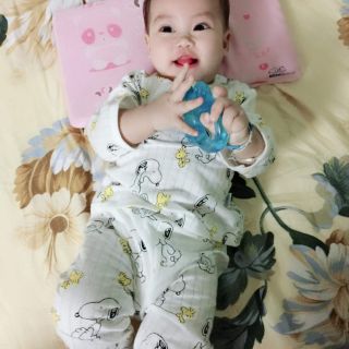 Set 4b cotton giấy qc