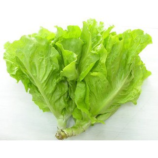 Xà Lách RĐ 357 ( 10gr ) - Rạng Đông