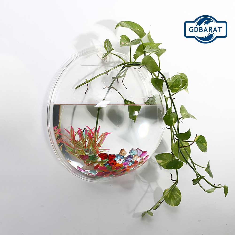 Bình Hoa Treo Tường Bằng Nhựa Acrylic Trong Suốt Thiết Kế Sáng Tạo Độc Đáo