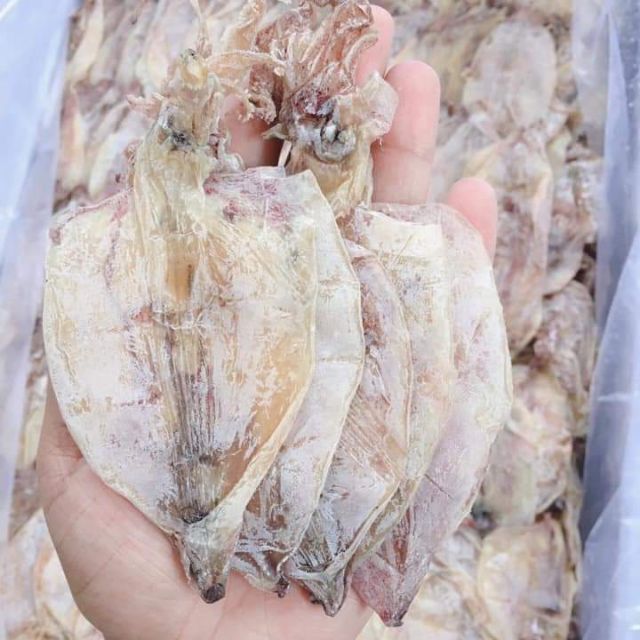 Mực câu mini