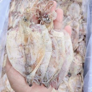 Mực câu mini