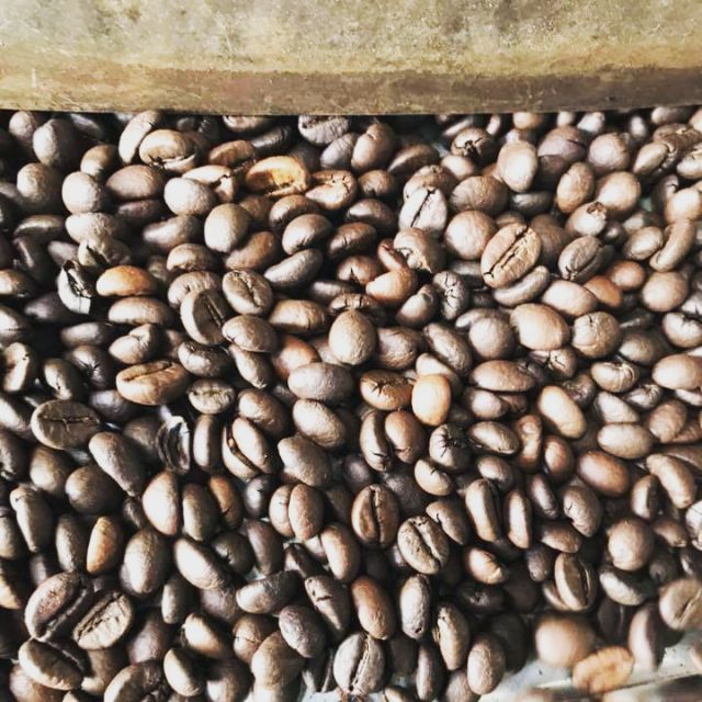 Cà phê hạt ROBUSTA rang sẵn 500g