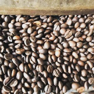 Cà phê hạt robusta rang sẵn 500g