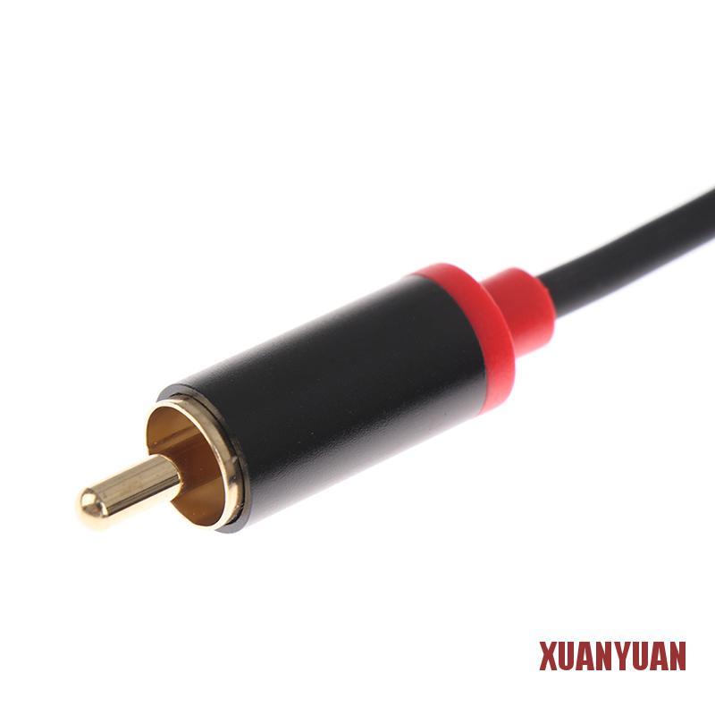 Cáp Chuyển Đổi Âm Thanh Từ Đầu Cắm 6.35 mm Sang 2rca Rca Mạ Vàng | BigBuy360 - bigbuy360.vn