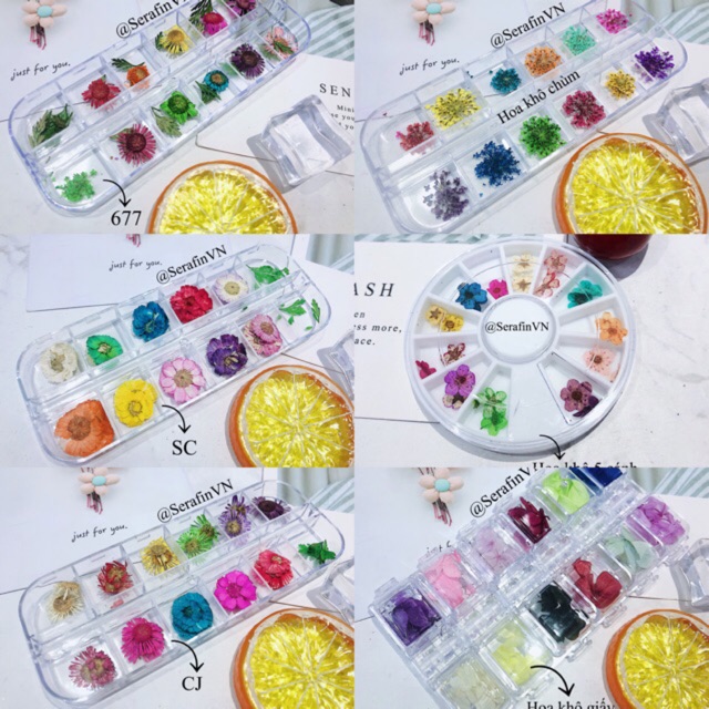 HOA KHÔ LÀM NAIL - ĐẮP ẨN - ĐẮP GEL NHIỀU KIỂU