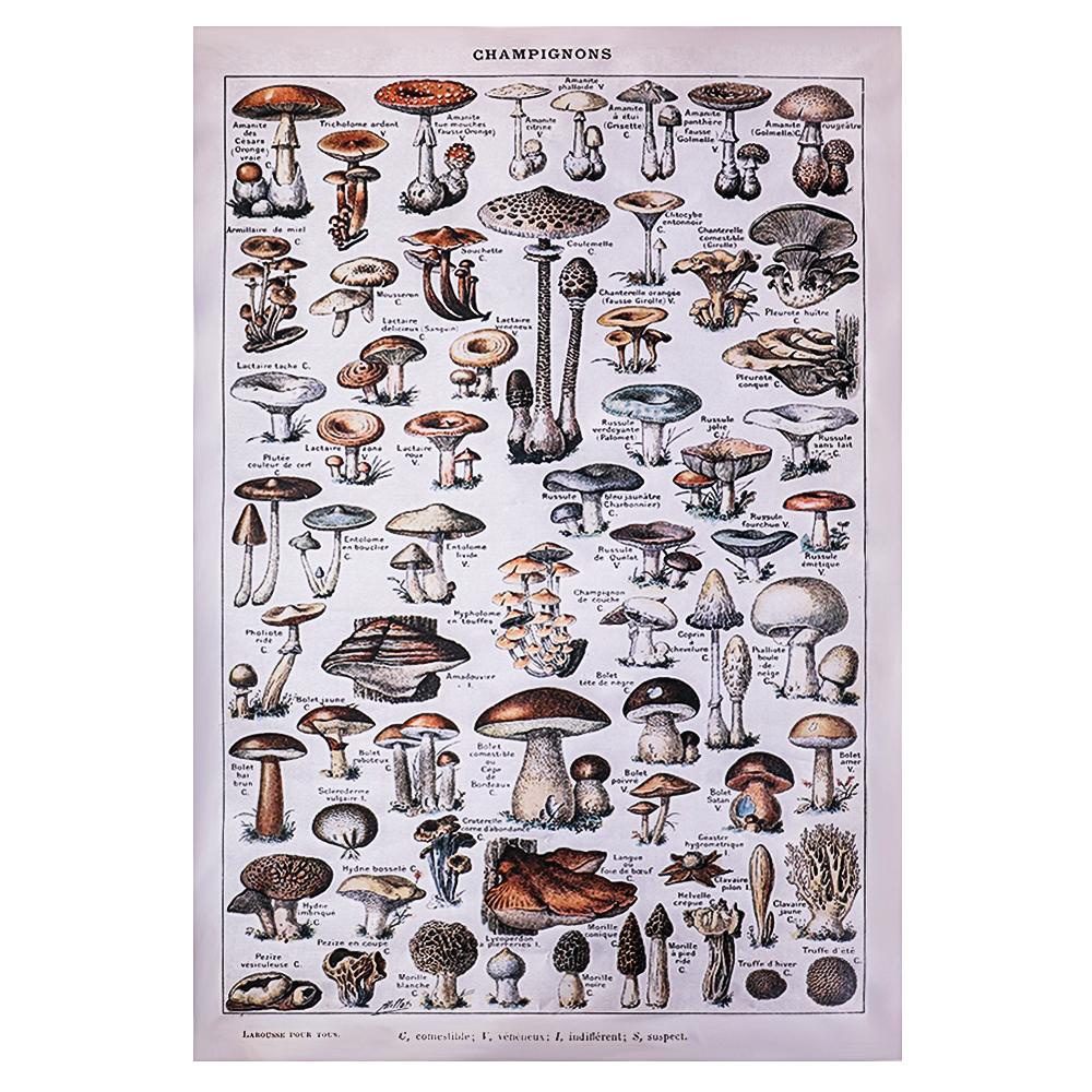 KUNHEV Thảm Treo Tường Họa Tiết Hoa Mẫu Đơn Phong Cách Vintage