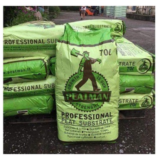 Peat moss / peat man / rêu mục