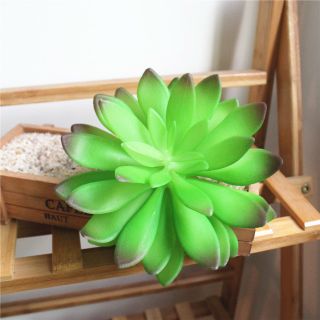 Hoa giả - Sen đá giả trang trí nhà cửa, cắm hoa để bàn siêu xinh, tạo không gian xanh mát
