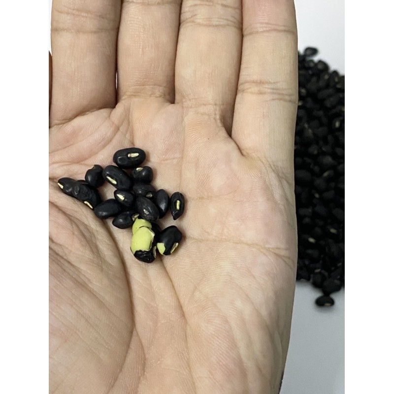 ĐỖ ĐEN ĐẬU ĐEN XANH LÒNG THUẦN CHỦNG MỘC CHƯA RANG 0.5kg