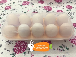 Khay đựng trứng Nhật Bản (10 ngăn)