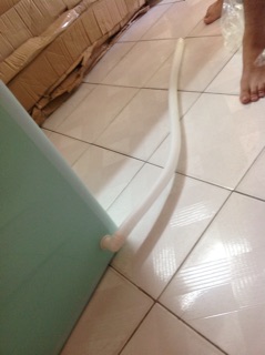 Bồn tắm gấp gọn 1m2