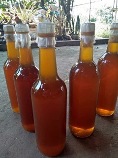 Mật ong rừng