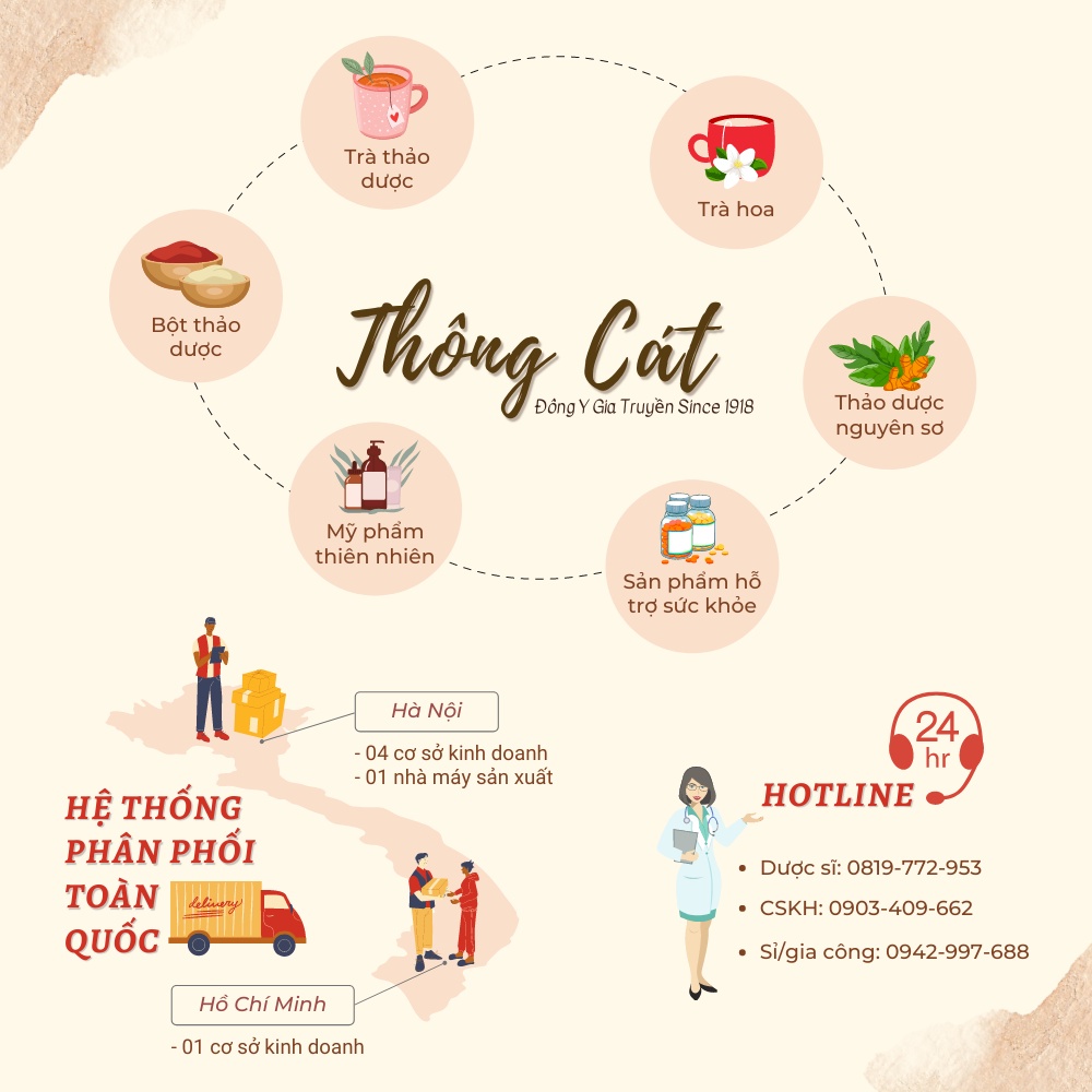 Nụ hoa tam thất Đông Y cao cấp Thông Cát_giúp ổn định huyết áp, cải thiện tình trạng mất ngủ, ngủ không sâu giấc