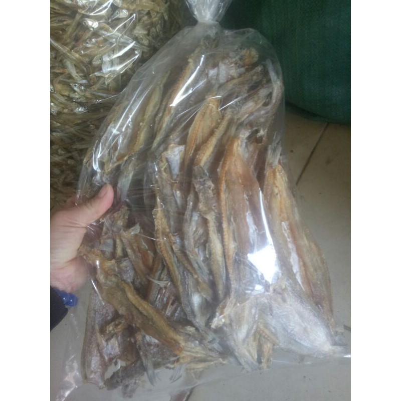 Khô cá mối, cá thửng không tẩm gia vị phơi khô thủ công - chuẩn cá mối biển 100% Nghệ An