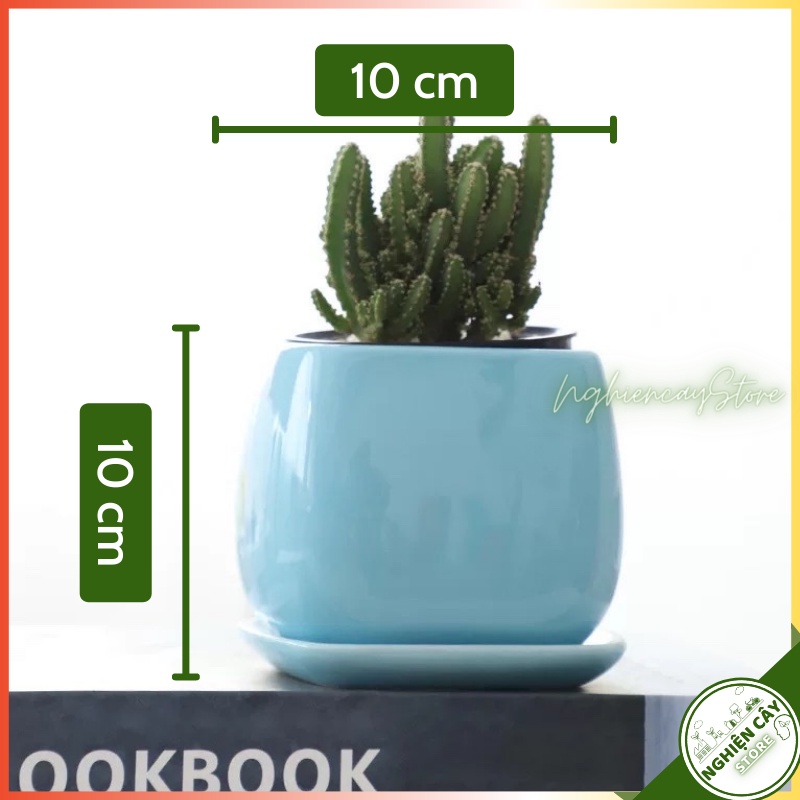 Chậu gốm gắn đĩa men lạnh trồng cây để bàn, sen đá (10x10 cm)