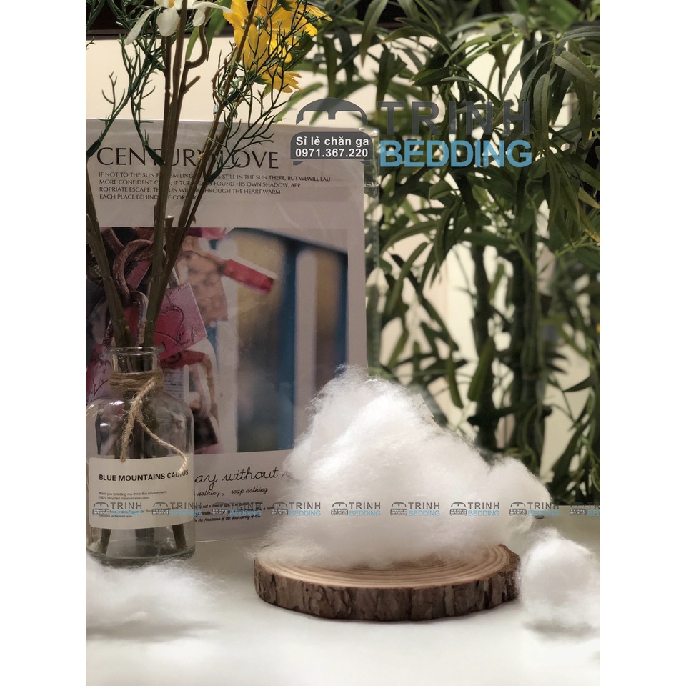 Ruột Gối Ôm Lông Vũ Cao Cấp Trinhbedding