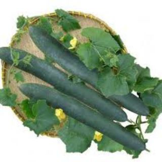 Hạt giống bí sặt 2gram
