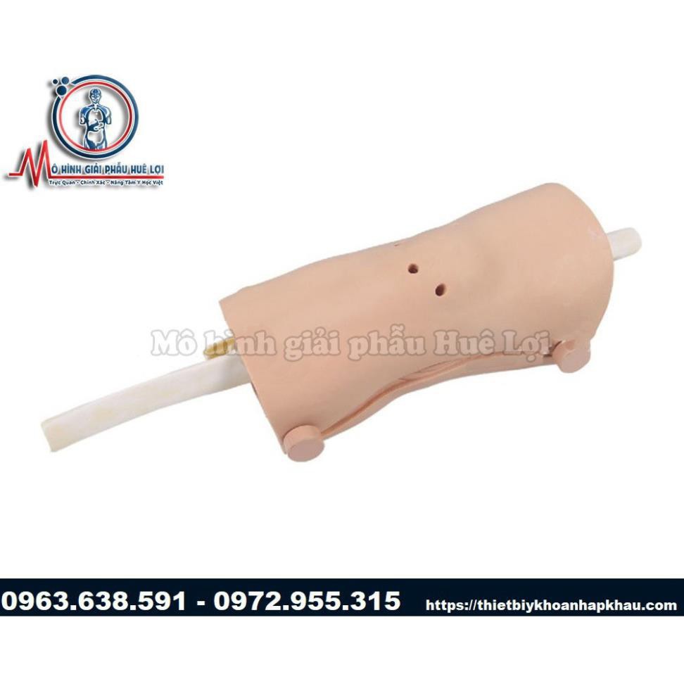 MÔ HÌNH THỰC HÀNH PHẪU THUẬT NỘI SOI KHỚP GỐI